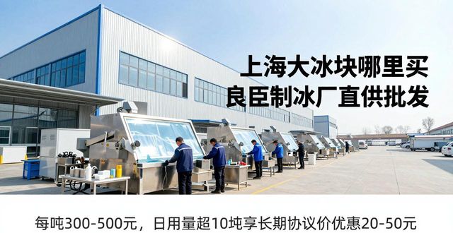 上海大冰块哪里买 良臣制冰厂直供批发